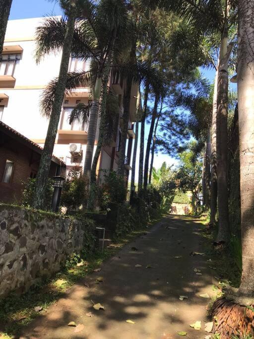 Villa Naumi Bandung Buitenkant foto