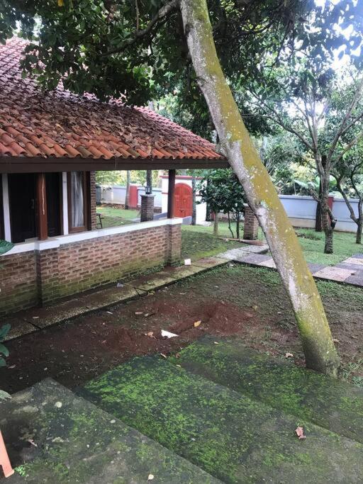 Villa Naumi Bandung Buitenkant foto